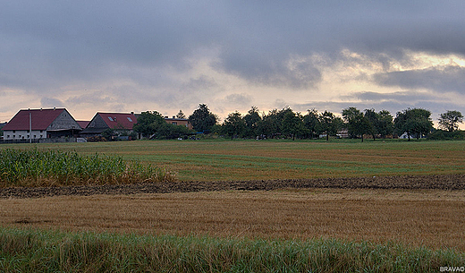 Kobielice o poranku