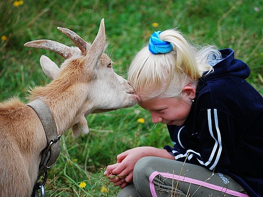 Skansen w Olsztynku. Zabawy z kzk