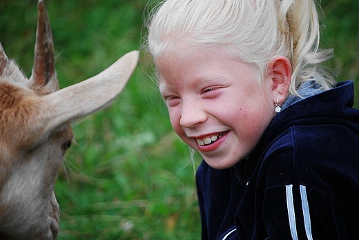 Skansen w Olsztynku. Zabawy z kzk