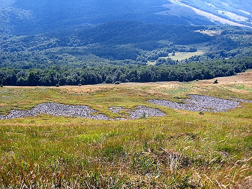 Bieszczady. Bezlene stoki poonin