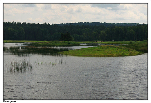 Zwierzyniec - Stawy Echo