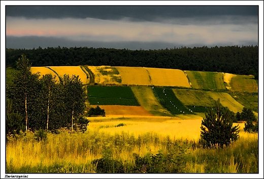 Zwierzyniec - kolorowe wzgrza