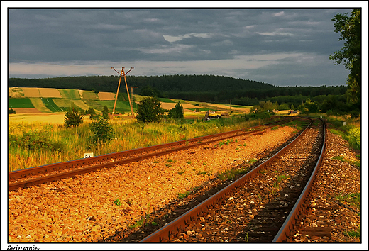 Zwierzyniec - kolorowe wzgrza