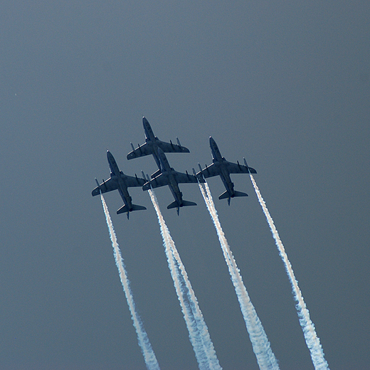 Midnigt Hawks w penym szyku. Air Show 2009