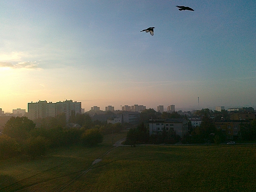 budzi si nowy dzie