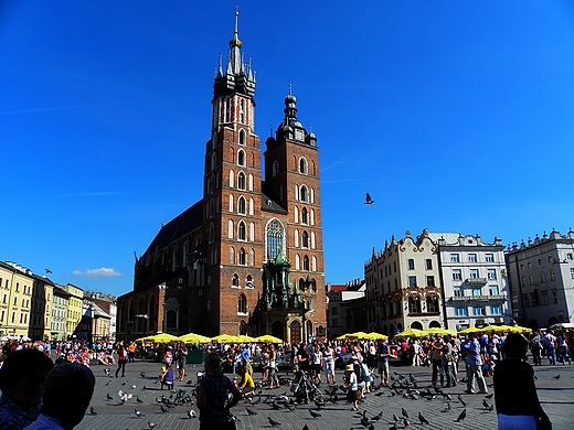 Koci Mariacki i fragment Rynku Gwnego