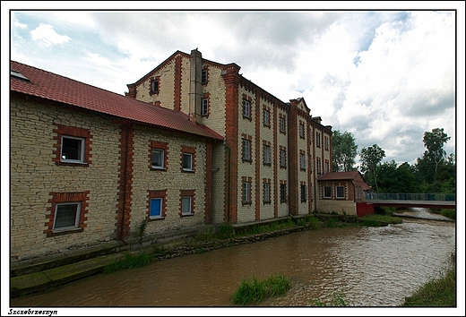 Szczebrzeszyn - myn wodny