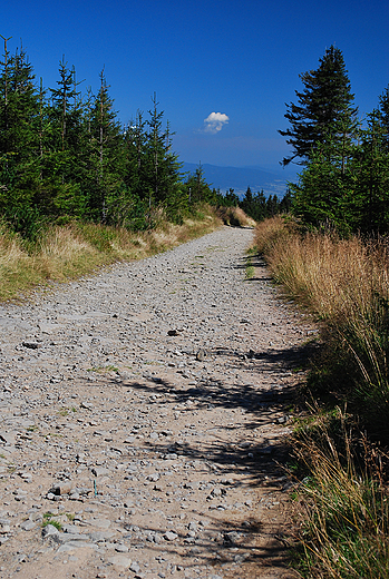 Beskid lski. W drodze na Skrzyczne.