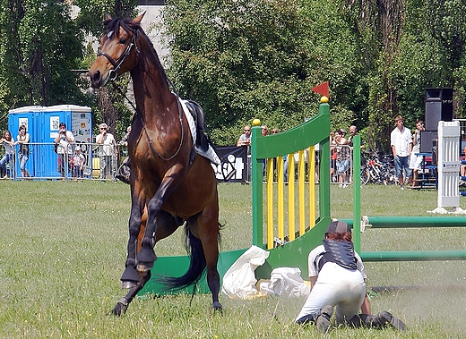 Park WPKiW. Zawody jedzieckie.