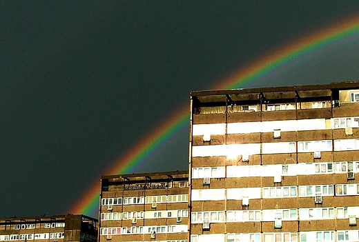 Tcza na osiedlu w winoujciu