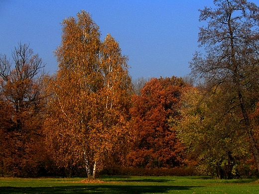 Jesienne barwy wierklanieckiego parku