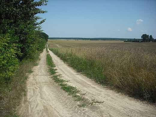 Kosewko. Droga polna.