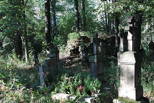 Krlik Polski - opuszczony cmentarz