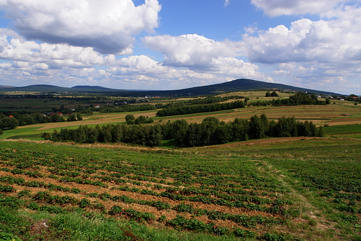 witokrzyski krajobraz