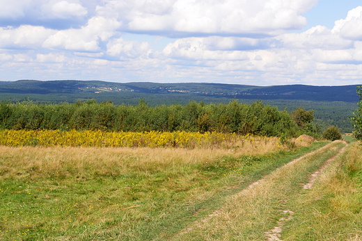 Widok z Wymyonej na Pasmo Klonowskie