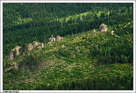 Szklarska Porba - Borwczane skay