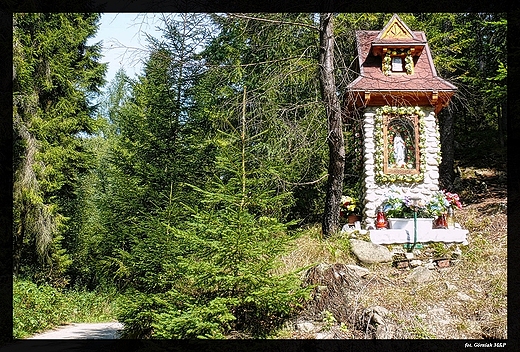 Nowy Targ - szlak na Turbacz.