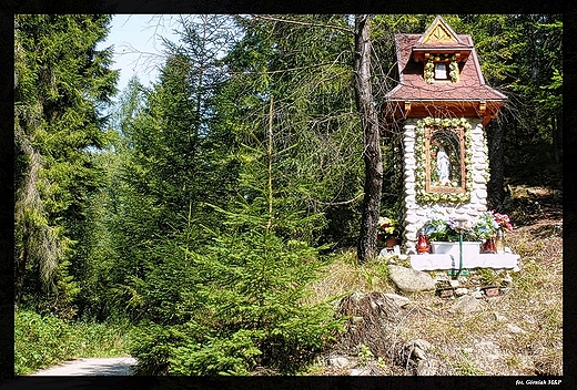 Nowy Targ - szlak na Turbacz.