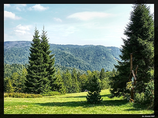 Nowy Targ - szlak na Turbacz.