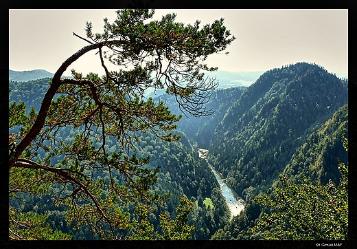 Szlak na Sokolic.