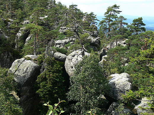 Szczeliniec Wielki