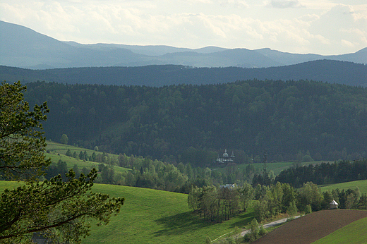 Beskid Sdecki w okolicy Zockiego