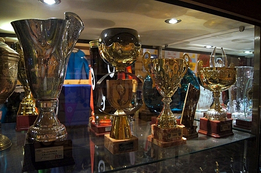 Galeria Sportowe Trofea Adama Maysza
