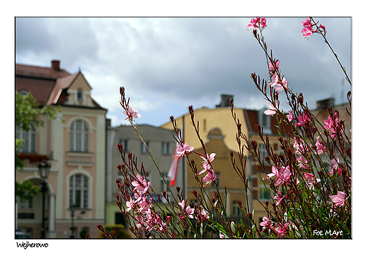 Wejherowo - rynek