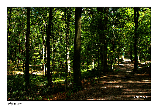 Wejherowo - park