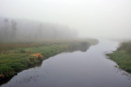 Widok z mostu w Dolistowie. Biebrza we mgle...