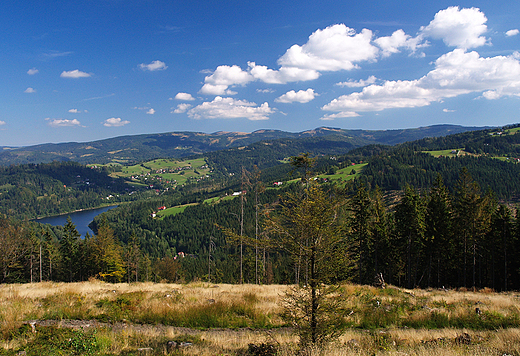 W drodze na Stecwk. Panorama Beskidu lskiego.