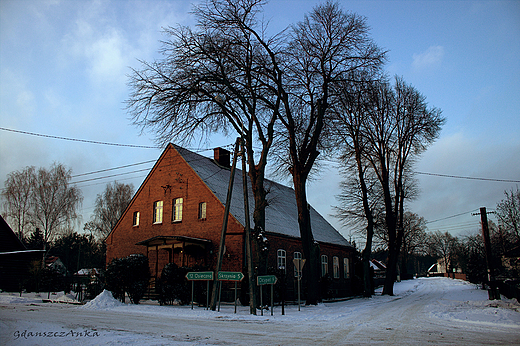 stara szkoa