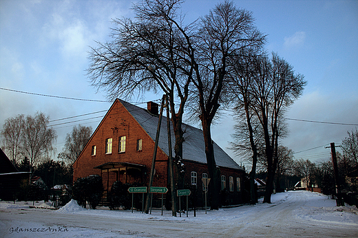 stara szkoa