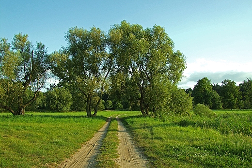 Wrota Kujaw. Lubostro