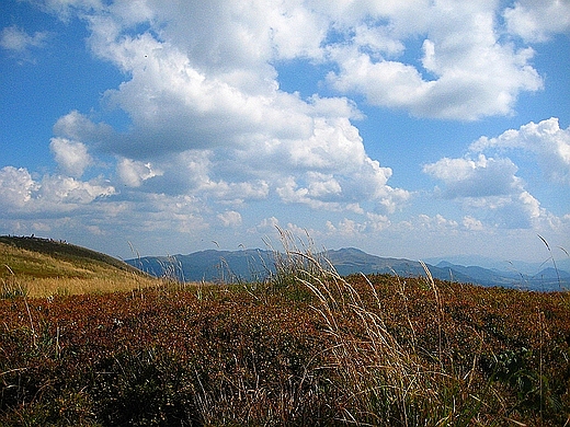 Bieszczady. W oddali widoczne Gniazdo Tarnicy