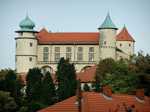 Zamek w Nowym Winiczu