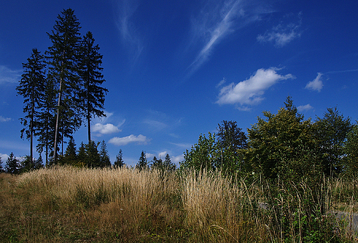 Niebo nad Beskidem skim.