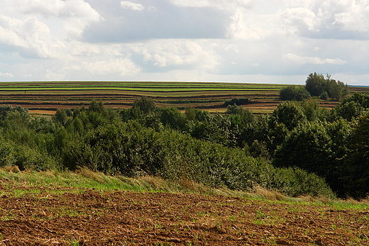 Okolica rezerwatu Wwz Chmielowiec. Szerzawy