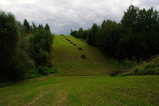 Wwz Chmielowiec. Szerzawy