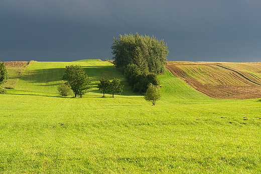 Pola nad Psark. Tarczek