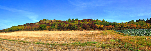 Barwy jesieni na wzniesieniach Garbu Piczowskiego