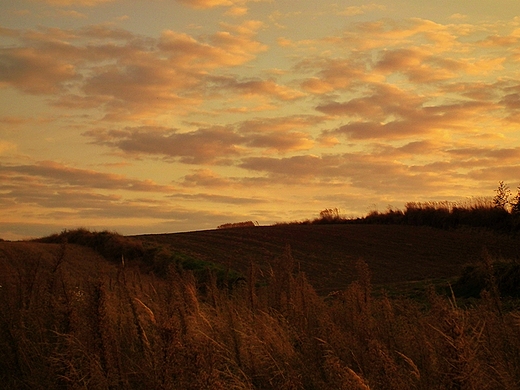 Ruszw- zachd soca nad polami