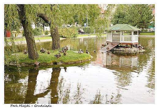 Park Miejski. Grudzidz