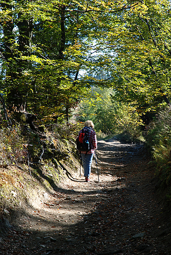 Na szlaku na Turbacz 1310m.