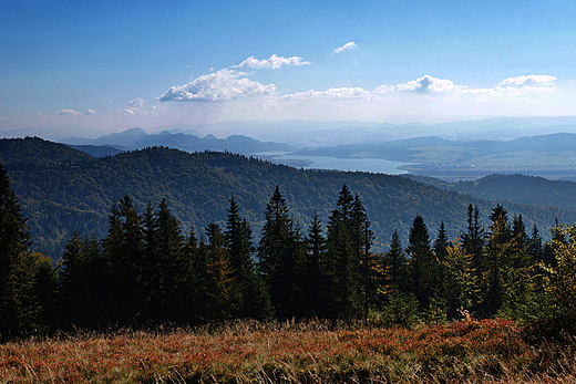 Widok na Pieniny i jezioro Czorsztyskie