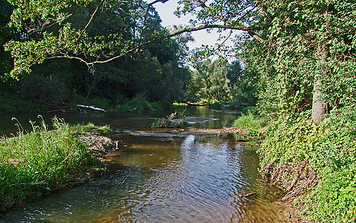 Przeom Warty-Zaczaski Park Krajoznawczy