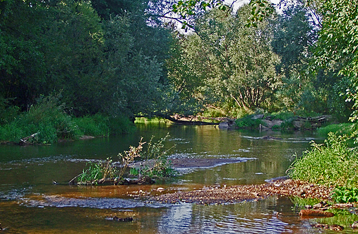 Przeom Warty-Zaczaski Park Krajobrazowy