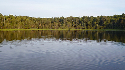 Jezioro Torfy