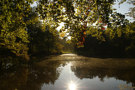 Park w Pszczynie