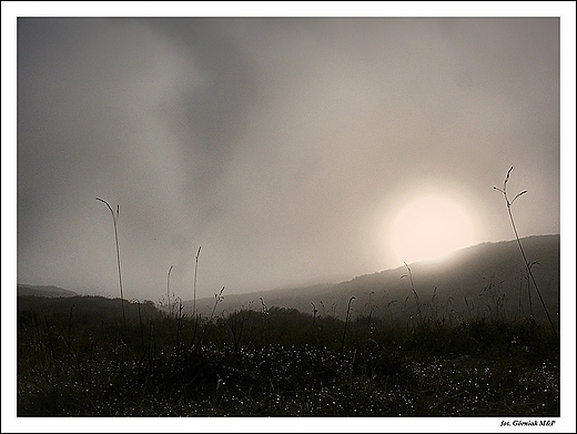 Tatry - szlak we mgle